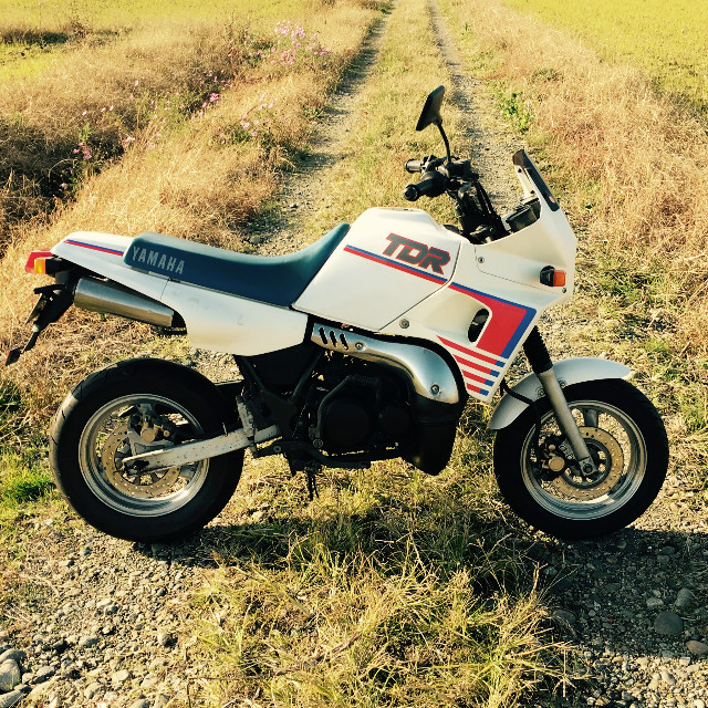 YAMAHA TDR80