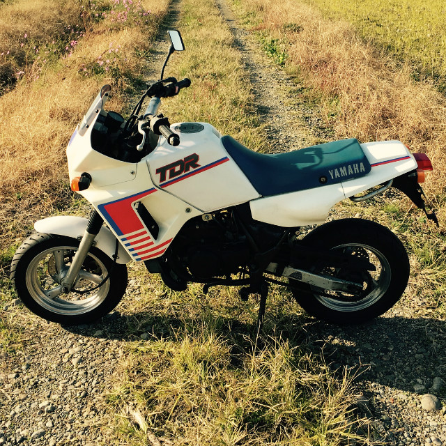 YAMAHA TDR80