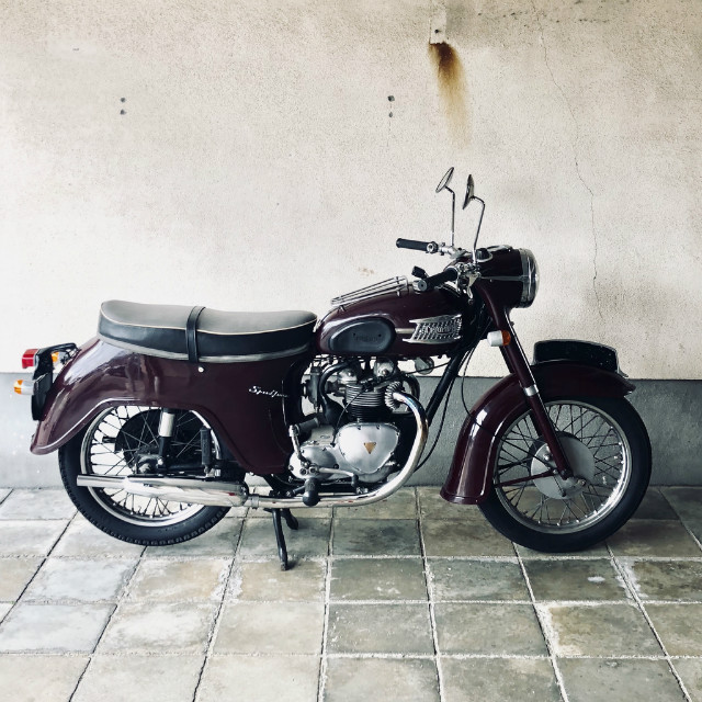 TRIUMPH 5TA Speed Twin