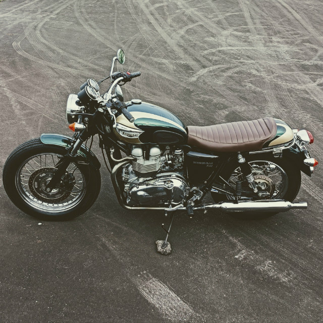 TRIUMPH Bonneville T100