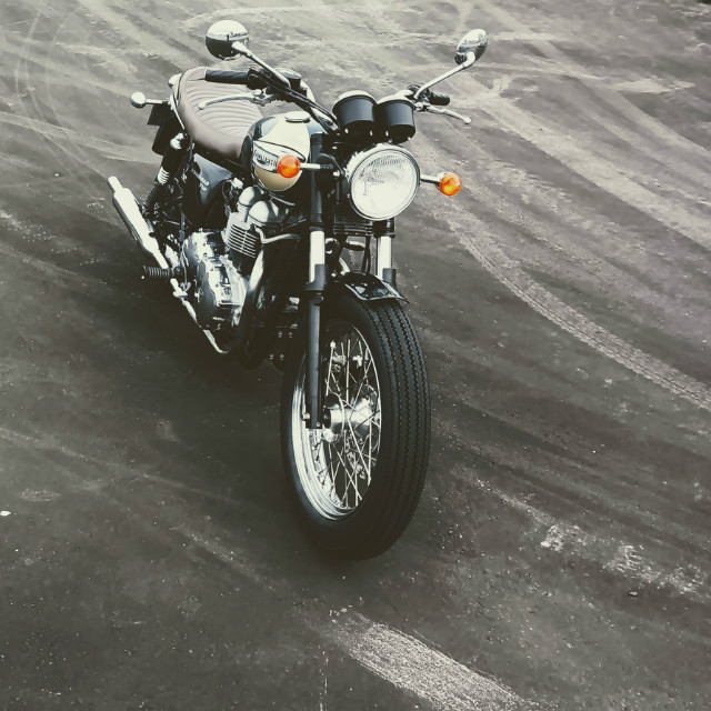 TRIUMPH Bonneville T100