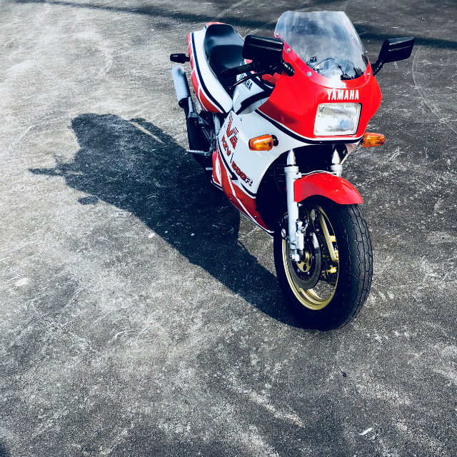 YAMAHA RZV500R