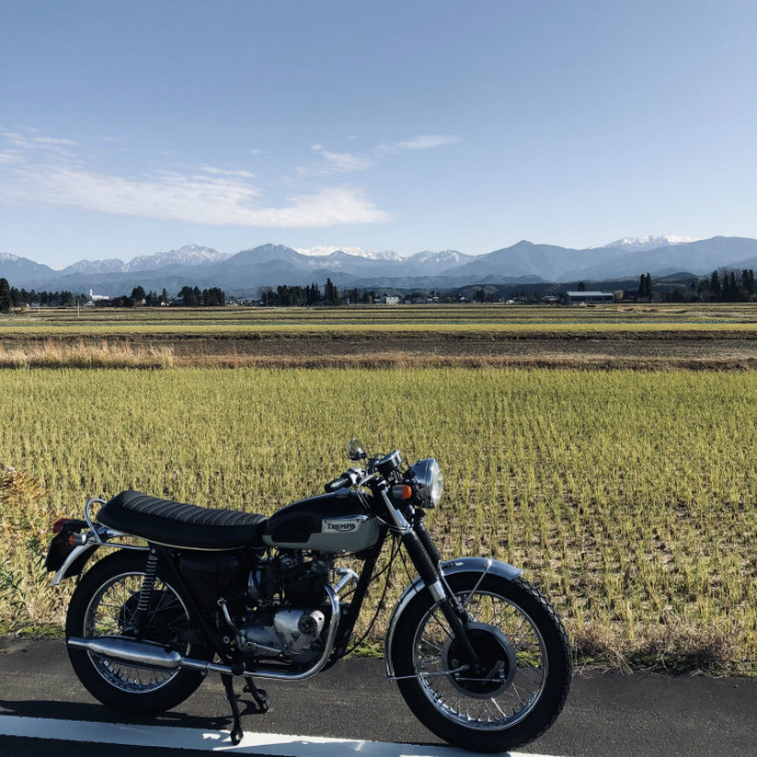 1973 TRIUMPH T100R Daytona