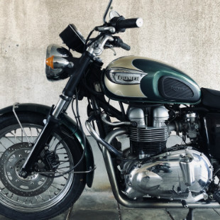 TRIUMPH Bonneville T100