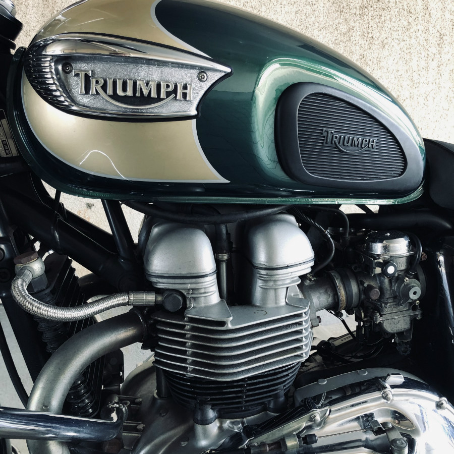 TRIUMPH Bonneville T100